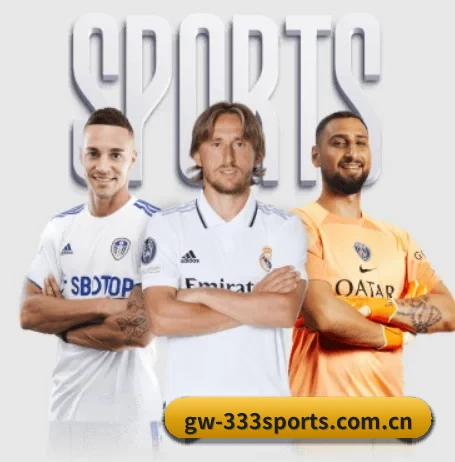 从比分速递到赛后复盘的完整链路 - 333SPORTS